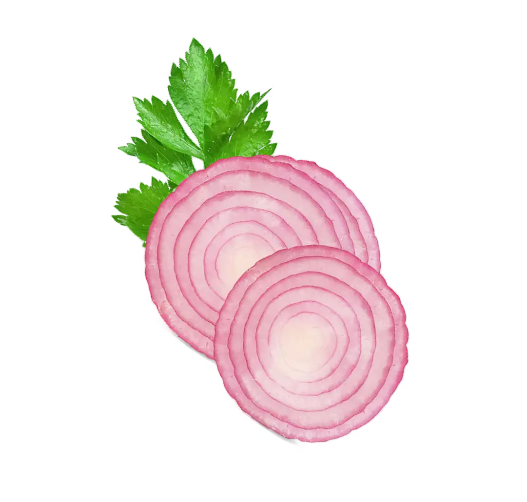 Onion Image