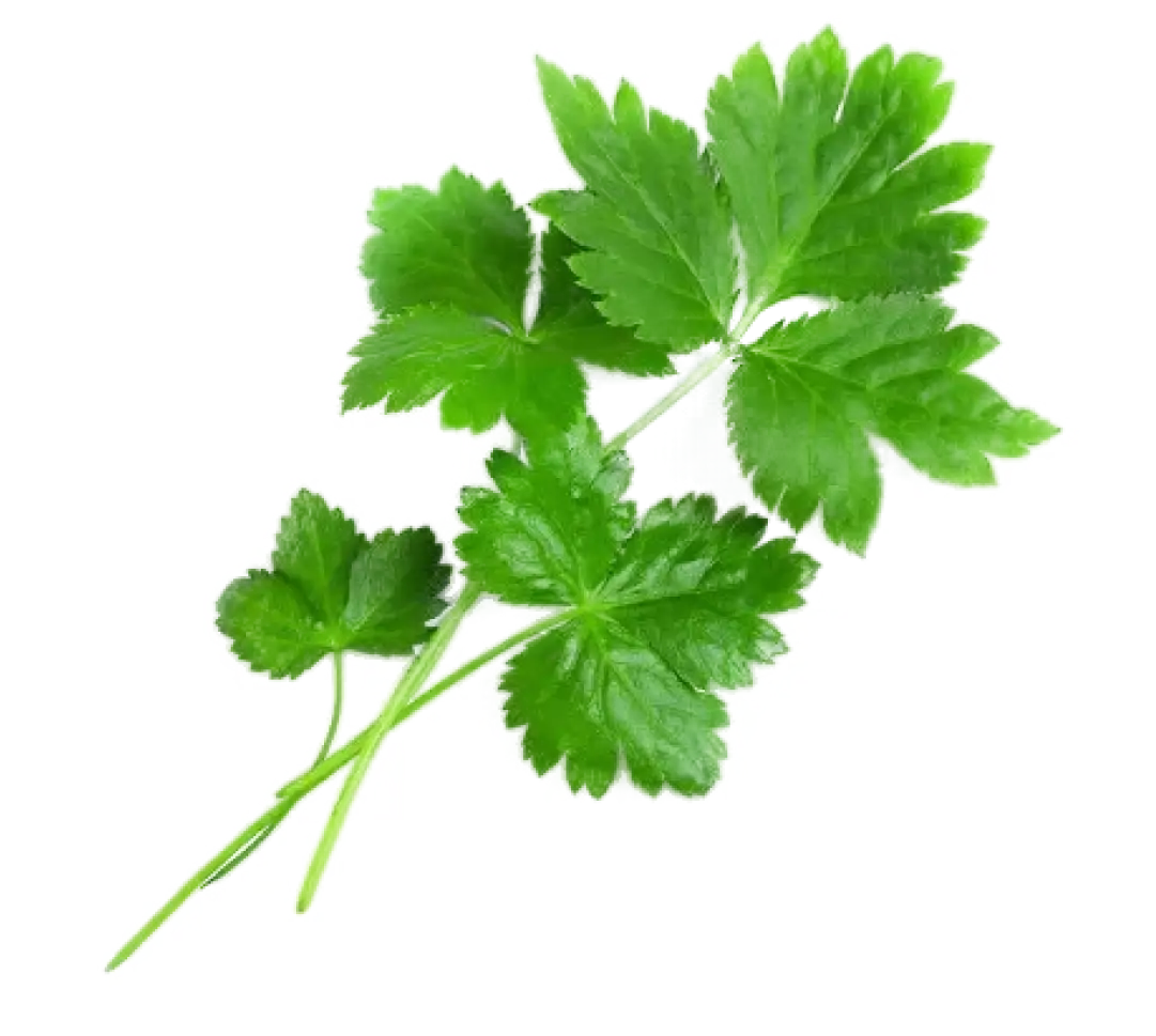 Parsley Image